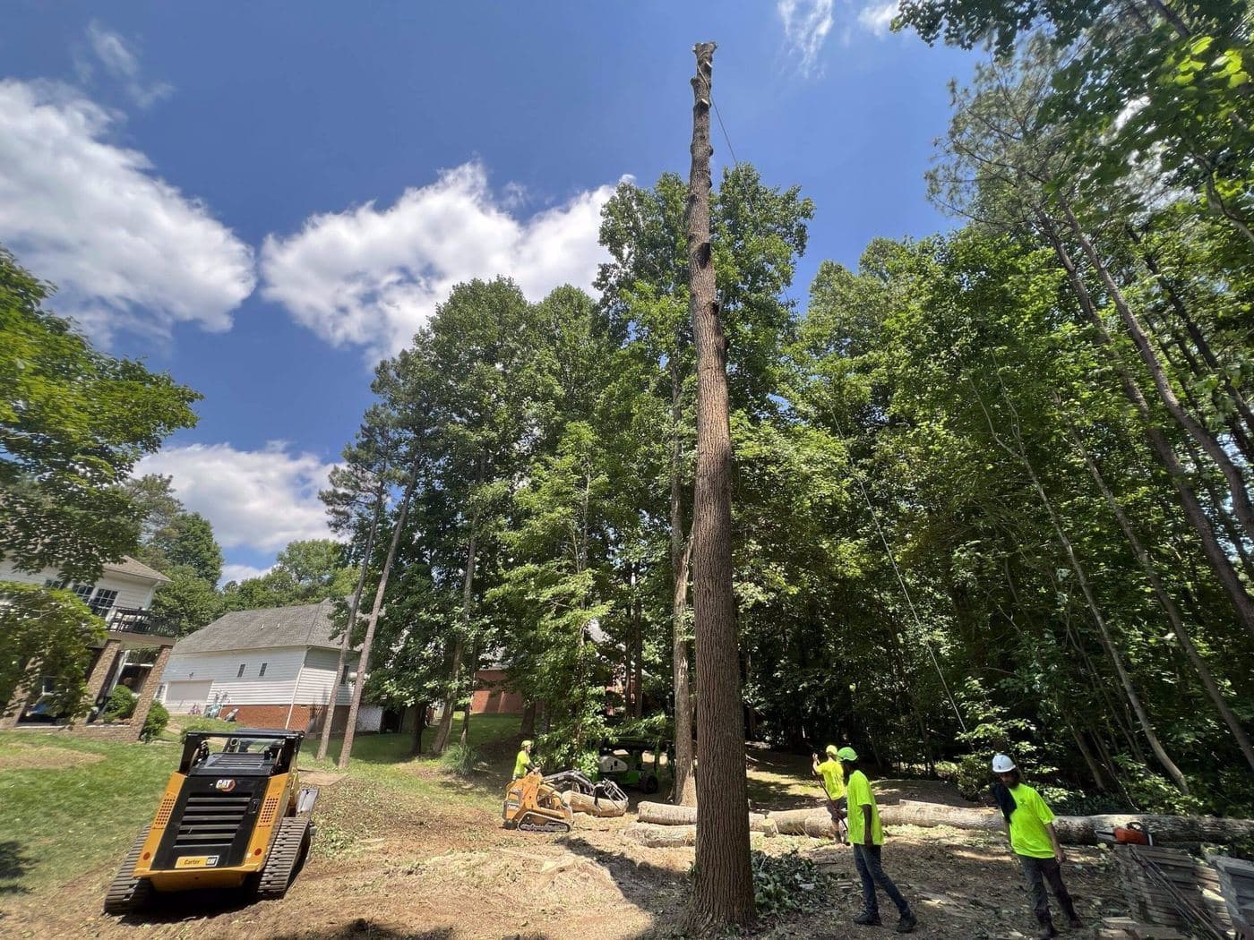 tree removal