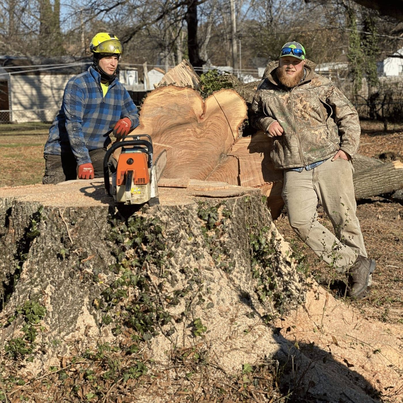 Tree Removal Team (Kent County, VA)