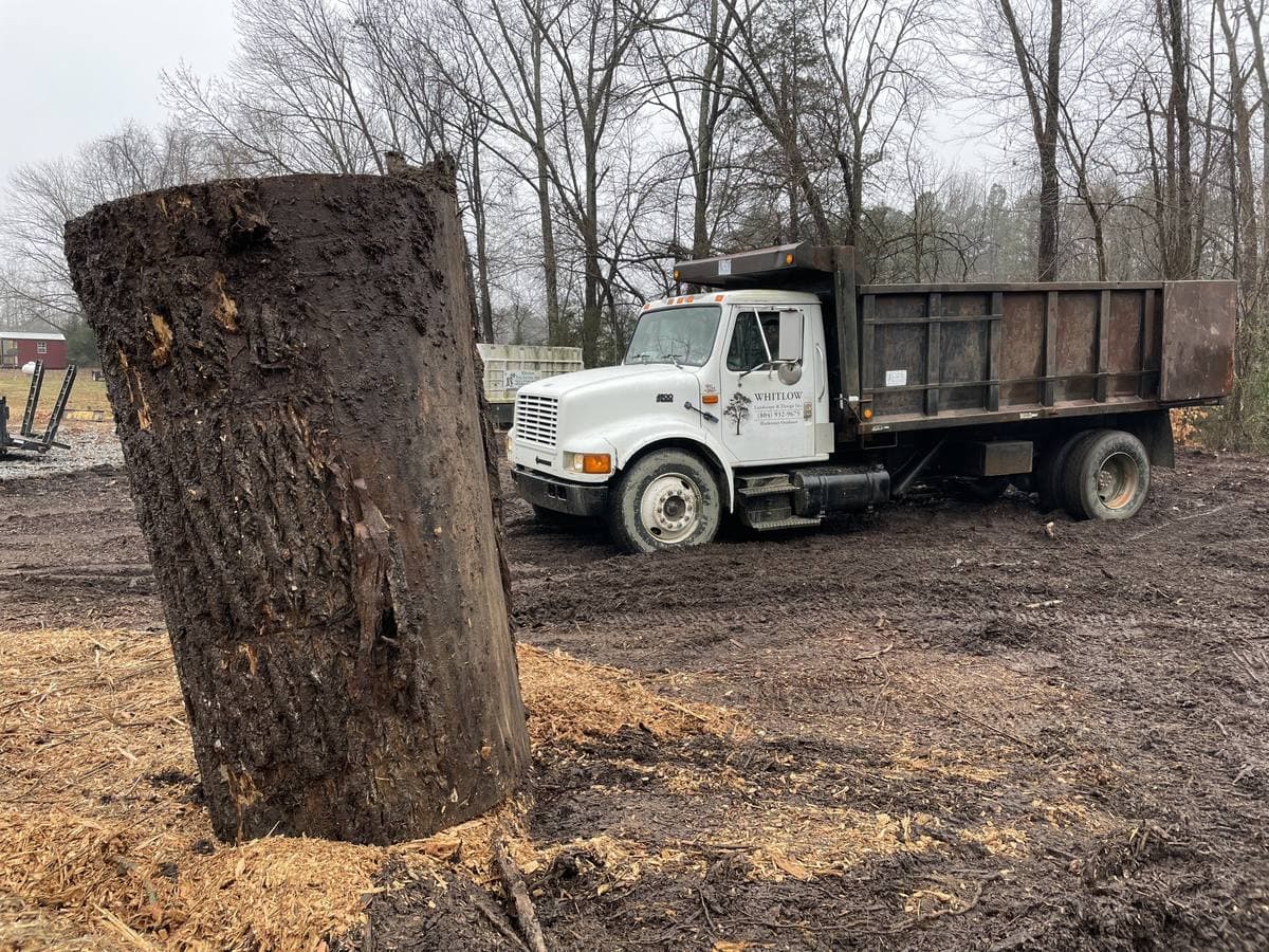 Large trunk rounds loaded out by grapple truck.