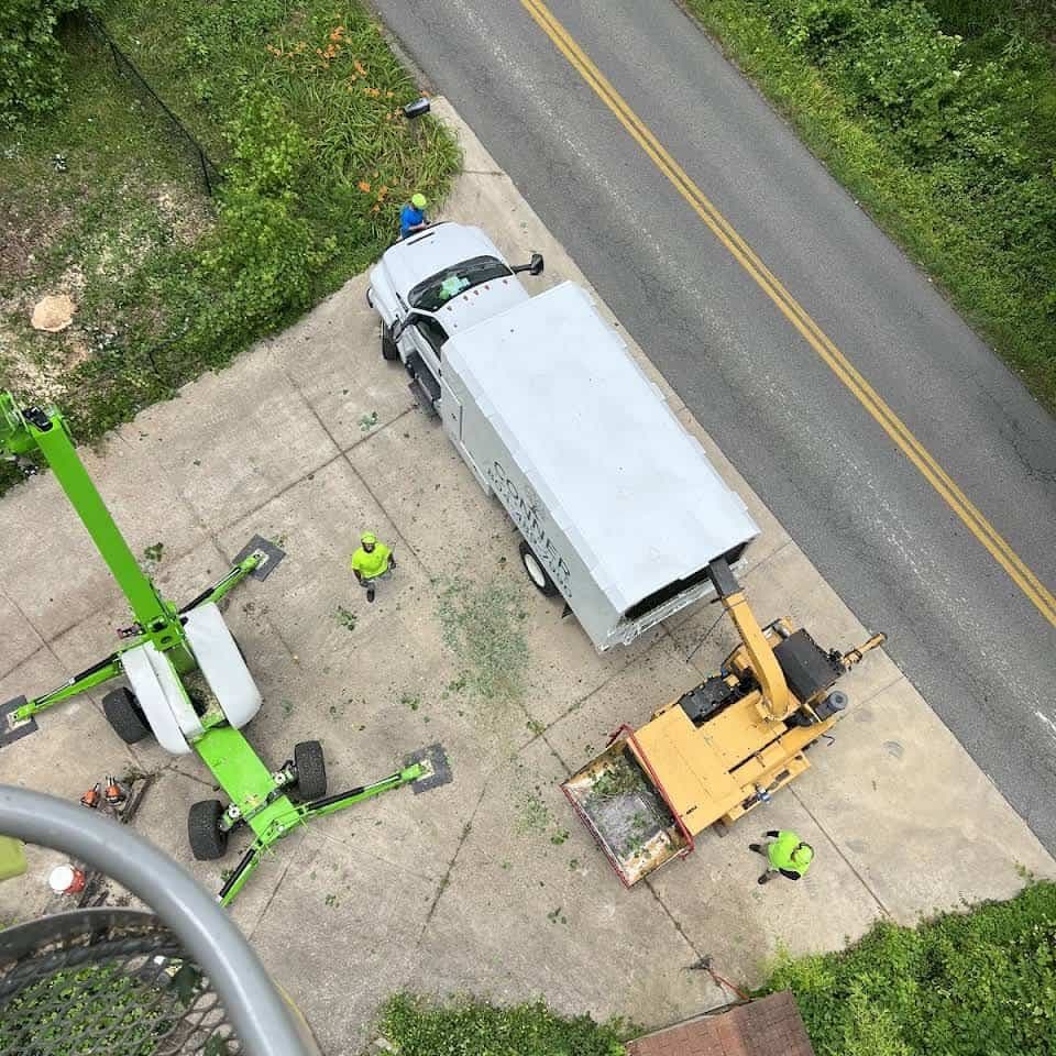 Tree care services in New Kent County, Virginia by Conner Tree Service.
