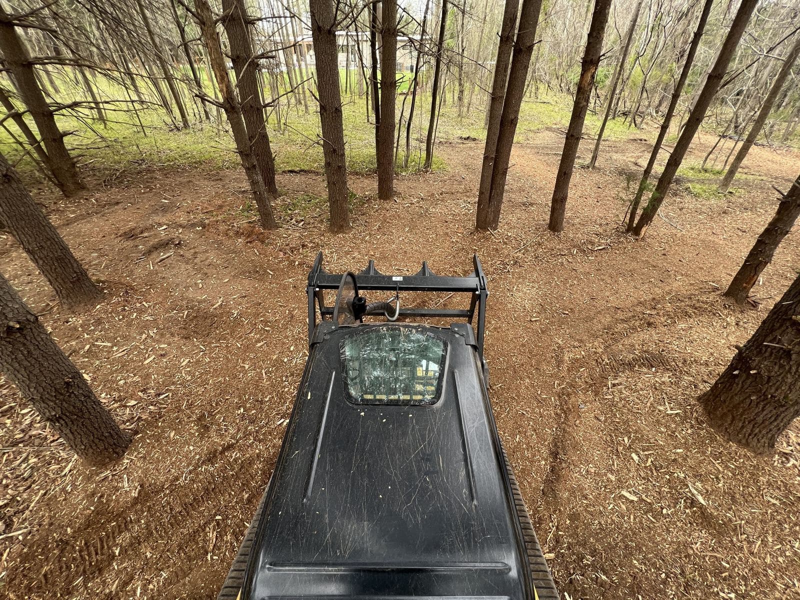 Forestry mulching machine reducing brush and small trees to mulch in Central Virginia.